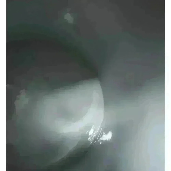 Vintage Martha Stewart Everyday Winter Jubilee‎ Discontinued 10" Cookie Jar - Picture 7 of 10